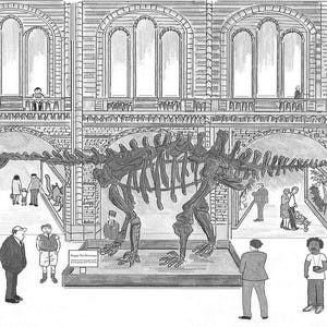 Dippy, o dinossauro no museu de história natural, impressão de 5" x 7" em papelão, montagem de 10" x 8" pelo artista Bernie Wighton
