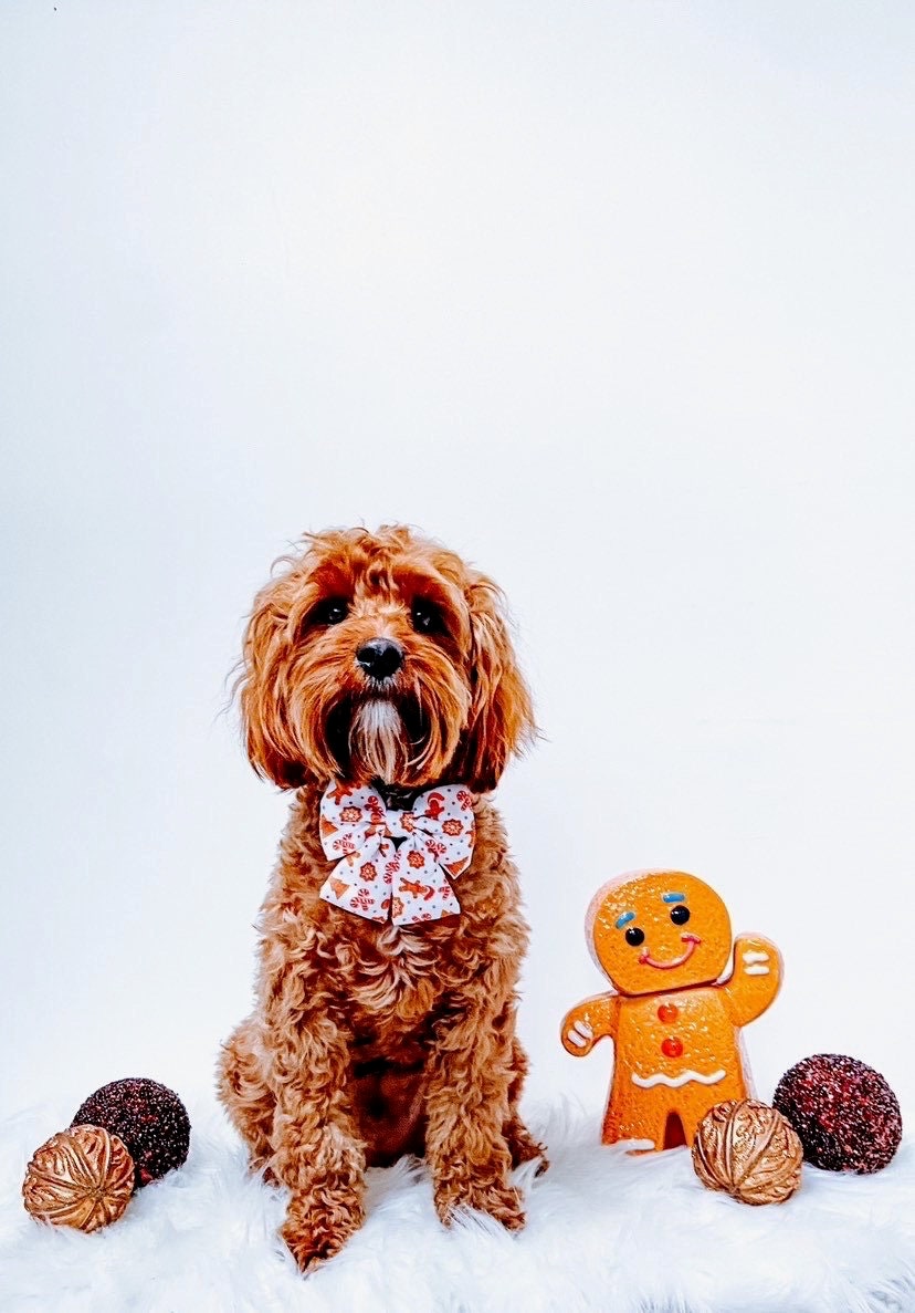 Christmas Dog Bow/ DOG BOW TIE // Sailor Bow / Cute Dog Bow / Dog Bow