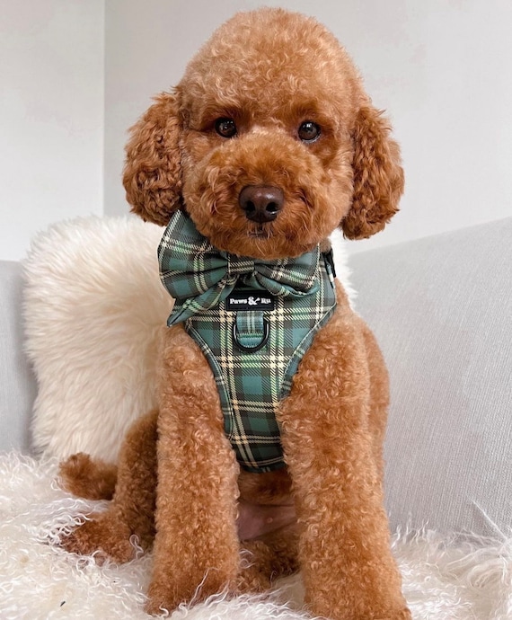 ADJUSTABLE DOG HARNESS, Cute dog harness, Check dog harness, Tartan dog harness, Puppy harness,  Dog accessories, new puppy gifts, dog gifts