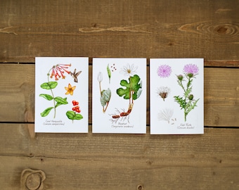 5x7in Set of 3 Honeysuckle, Bloodroot, Thistle, Wildflowers, Botanical Watercolor Prints, Hiking Decor, Colorful Floral, For Bedroom Wall