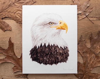Bald Eagle Portrait 8x10in Watercolor Print — Birds of Prey Art, Wildlife Illustration, Birding Artwork, Bird Lover Gift, Nature Wall Decor