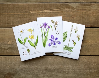 5x7in Set of 3 PNW Wildflowers Botanical Watercolor Prints, Lily, Iris, Hiker Gift, Wall Artwork, Hiking Decor, Colorful Floral, For Bedroom