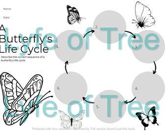 Butterfly Life Cycle Printable