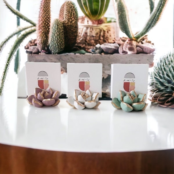 Succulent Business Card Holder