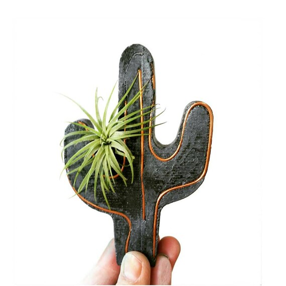 Cactus Decor/Air Plant Holder/Cactus planter/Indoor Planter/Concrete Planter/Copper Decor/Cactus/Air Plant/Cacti