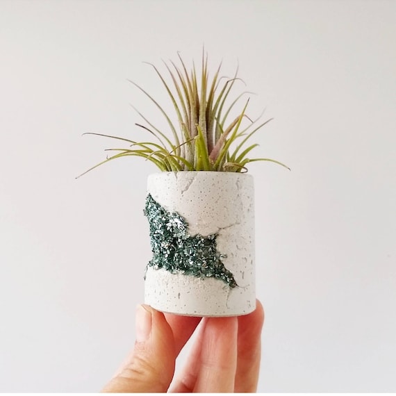 Concrete & turquoise glass Air Plant Holder,Modern planter,Cactus Planter,Mini Planter,Indoor Planter, Desk planter,Concrete Home Decor