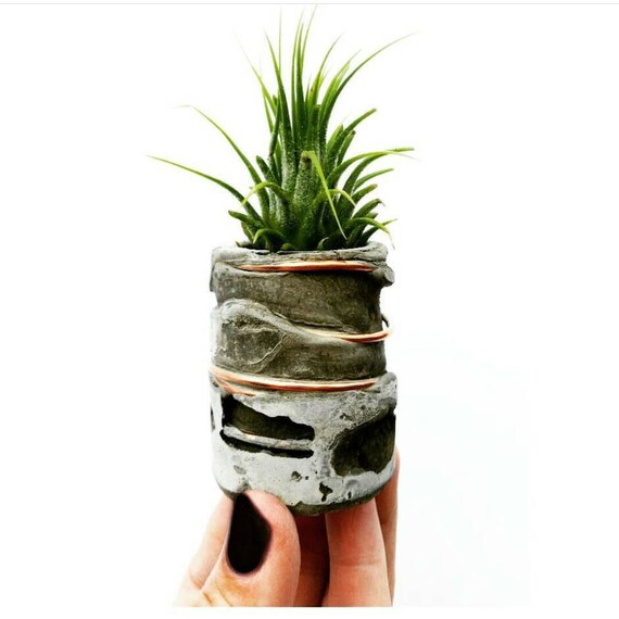 Concrete Air Plant Holder/Modern Planter/Mini Air Planter/Industrial decor/Succulent Planter/ Indoor Planter/Desk planter