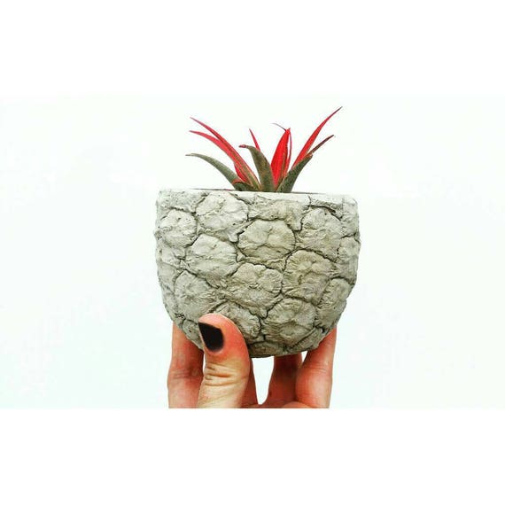 Realistic Pineapple Planter,Air Planter, Air Plant Holder, Desk Planter, Pineapple decor, Concrete Home Decor