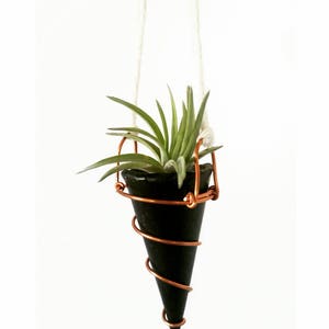 Mini Hanging Planter with Copper Hanger image 3