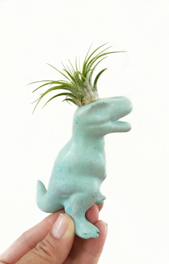 Dinosaur Concrete Planter/Air Plant Holder/Dino/Indoor Planter/Dinosaur decor/Trex/Fun Planter/Office decor/Dorm Decor/Modern Planter