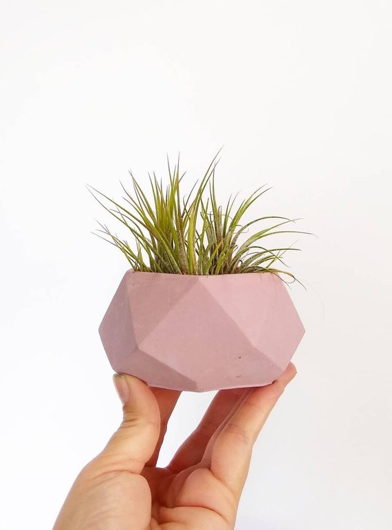 Geometric Planter/Air Plant Holder/Desk Planter/Geometric decor/New Home Gift/Housewarming Gift/Succulent Planter/Modern Planter/Minimalist