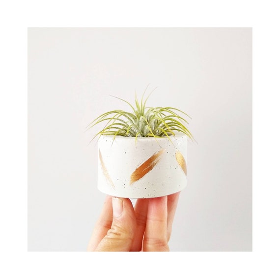 White & Gold Concrete Vessel/Modern Air Plant Holder/Tea light Holder/Office Planter/Indoor Planter/Dorm decor/Minimalist/Ring dish