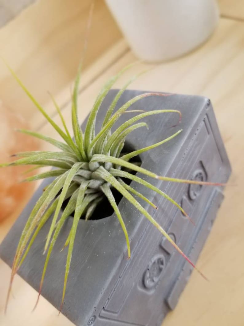 80's Cassette Tape Air Plant Holder image 7