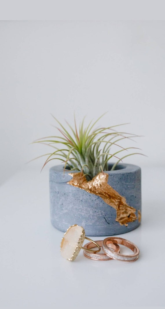 Concrete Air Plant Holder,Votive Vessel, Modern planter, Cactus Planter,Air Plant,Ring Dish,Desk Planter Metallic vessel, Mini Planter
