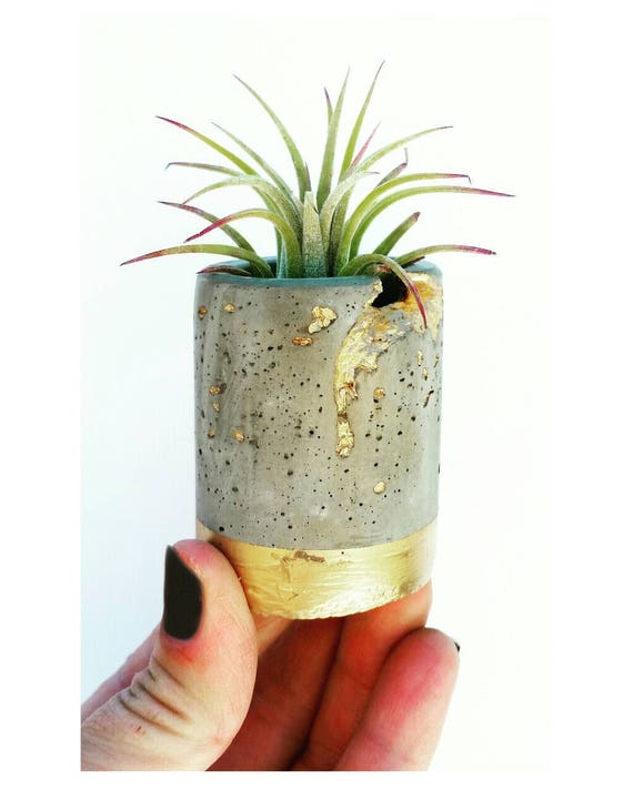 Concrete Gold Filigree Air Planter, Modern Metallic planter, Cactus Planter, Cactus Decor, Succulent Planter, Indoor Planter, Desk planter
