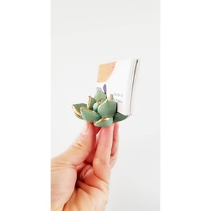 Sea Green Mint Succulent Business Card Holder afbeelding 9