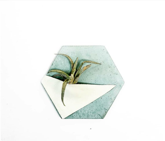 Concrete Hexagon Air Planter/Air Plant Magnet/Air Planter Wall Hanging/Geometric decor/Housewarming Gift/Industrial/Minimalist/Modern Deco