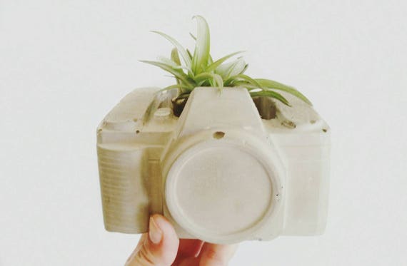 Camera Planter/Concrete Planter/Photographer Gift/Cactus Planter/Camera Decor/Vintage Camera/Retro Decor/Photographer/Photographer Lover