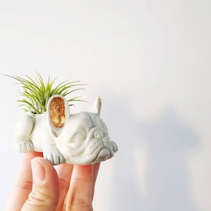 French Bulldog mini planter