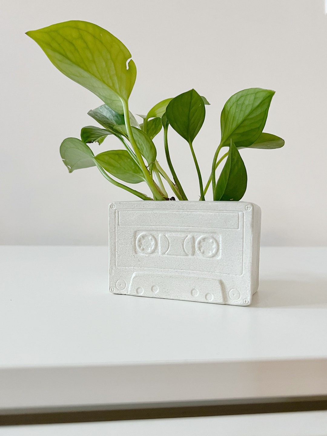 80's Cassette Tape Planter Cassette Pencil Holder Etsy