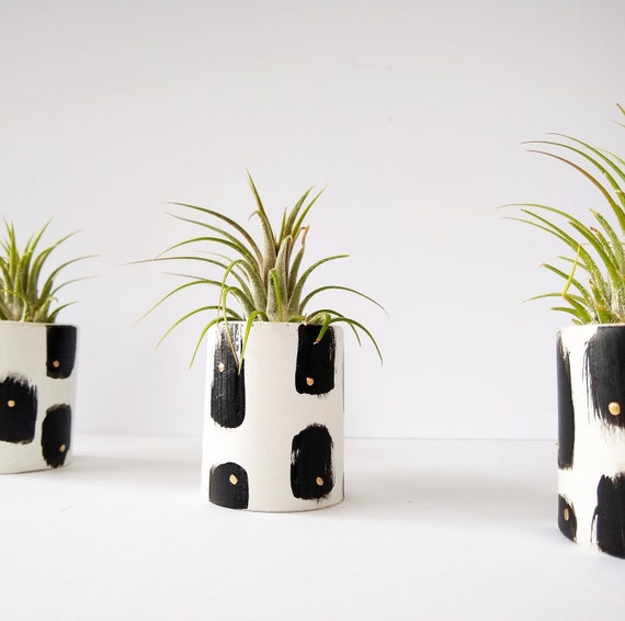 White & Black Concrete Planter/Modern Planter/Air Plant Holder/Indoor Office Planter/Succulent/Mini Planter/Midcentury Modern/match holder