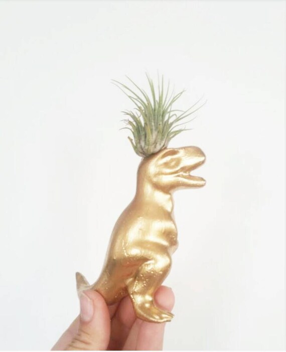 Dinosaur Concrete Air Plant Holder/Air Plant/Dino/Indoor Planter/Dinosaur decor/Trex/Fun Planter/Office decor/Dorm Decor/Modern Planter