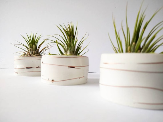 White Concrete Air Plant Holder,Modern planter,Cactus Planter,Air Plant, Ring Dish,Desk Planter, candle holder,Plant lover, Mini Planter