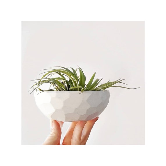 Faceted Concrete Bowl/Ring he holder/Succulent planter/Air Plant Holder/White Planter/Home Decor/Office Decor/Housewarming Gift/soap dish/