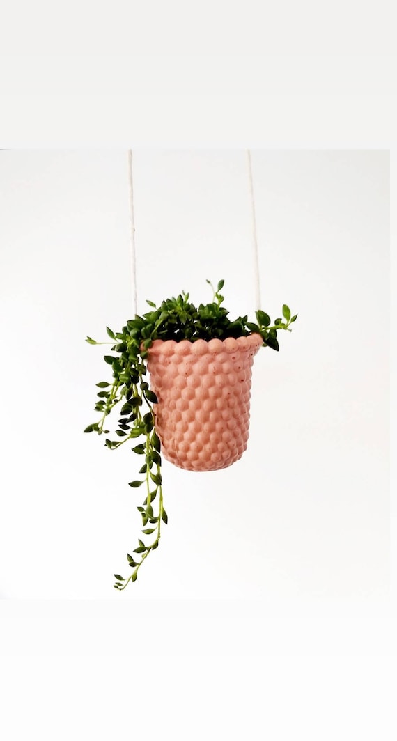 Modern Vintage Hanging Planter/Milk Glass Style Planter/Small Indoor Planter/Succulent planter/Cactus planter/Air plant holder/Retro/