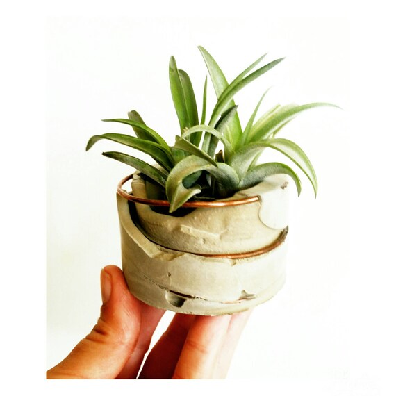Concrete & Copper Air Plant Holder, Candle Holder, Modern Metallic planter,Cactus Planter,Cactus Decor,Succulent Planter, Indoor Planter