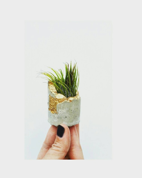 Concrete Gold Leafing Air Planter,Modern Metallic planter, Cactus Planter,Succulent Planter,Indoor Planter, Desk planter,Concrete Home Decor