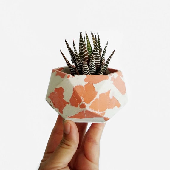 Peach & white Geometric Planter/Air Plant Holder/Desk Planter/home decor/New Home Gift/Housewarming Gift/Succulent Planter/Modern Planter/