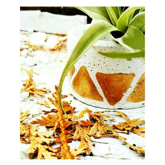 White Concrete/Concrete Planter/Candle Holder/Ring Holder/Air Plant Holder/Air Plant/Concrete Decor/Tea light holder/Industrial decor