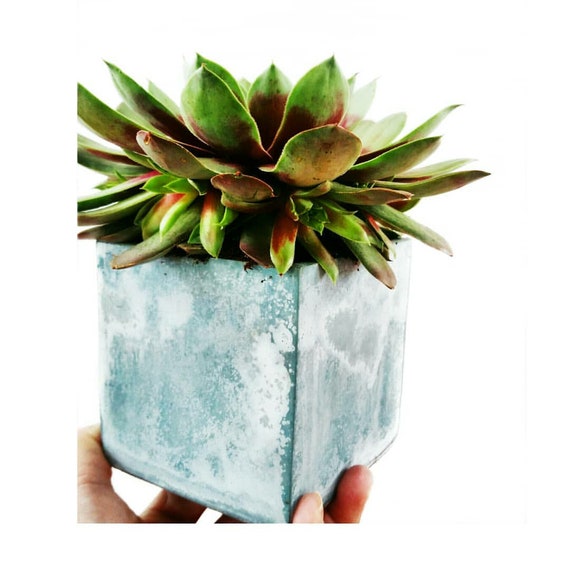 Modern Planter/Succulent Planter/Desk Planter/Concrete Home Decor/Gemetic Decor/Minimalist/Square Planter/Cactus Planter