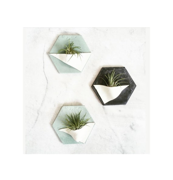 Hexagon Air Plant Holder/Air Plant Magnet/concrete Wall Planter/Geometric decor/Housewarming Gift/Industrial/Minimalist/Modern Decor/leather