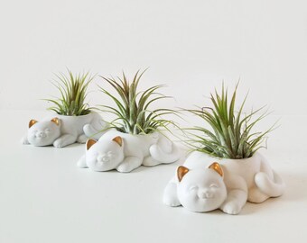 Mini Cat planter