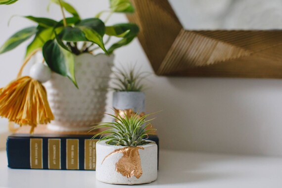 White Concrete Air Plant Holder,Votive Vessel, Modern planter, Cactus Planter,Air Plant,Ring Dish,Desk Planter Metallic vessel, Mini Planter