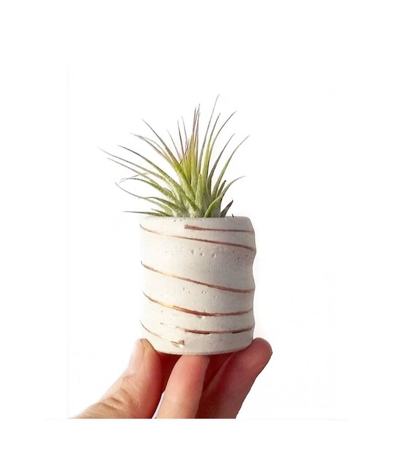Copper and Concrete Planter/Modern Planter/Mini Air Plant Holder/Office Planter/Succulent Planter/ Indoor Planter/Mint/Dorm decor/Minimalist
