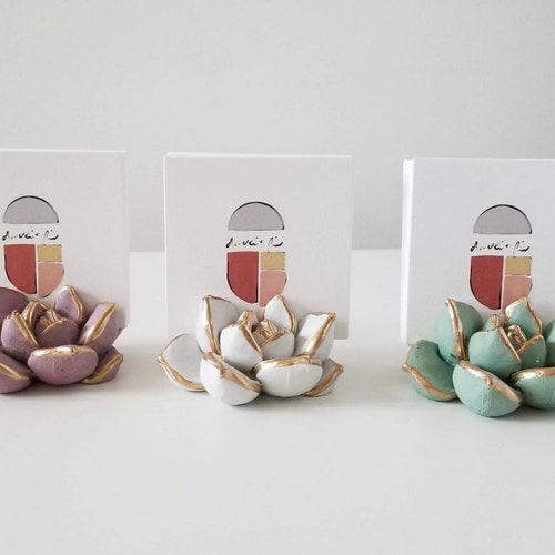 Porte-cartes de visite succulent
