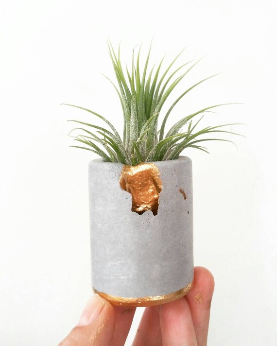 Concrete Gold Leafing Air Plant Holder,Modern Metallic planter,Cactus Planter,Mini Planter,Indoor Planter, Desk planter,Concrete Home Decor