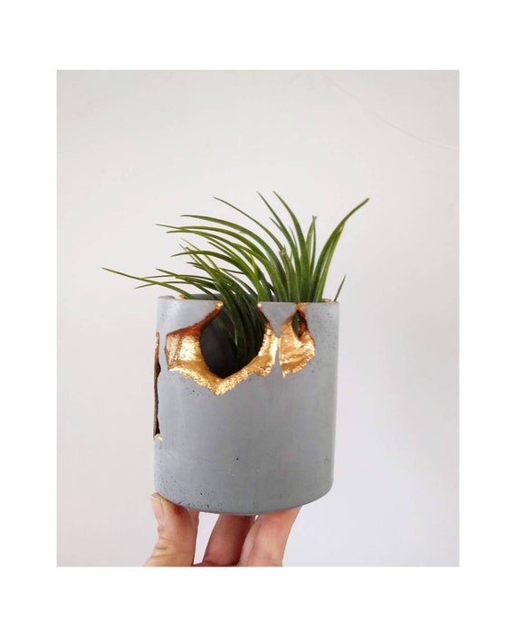 Gray Concrete and Gold Gilding Indoor Planter