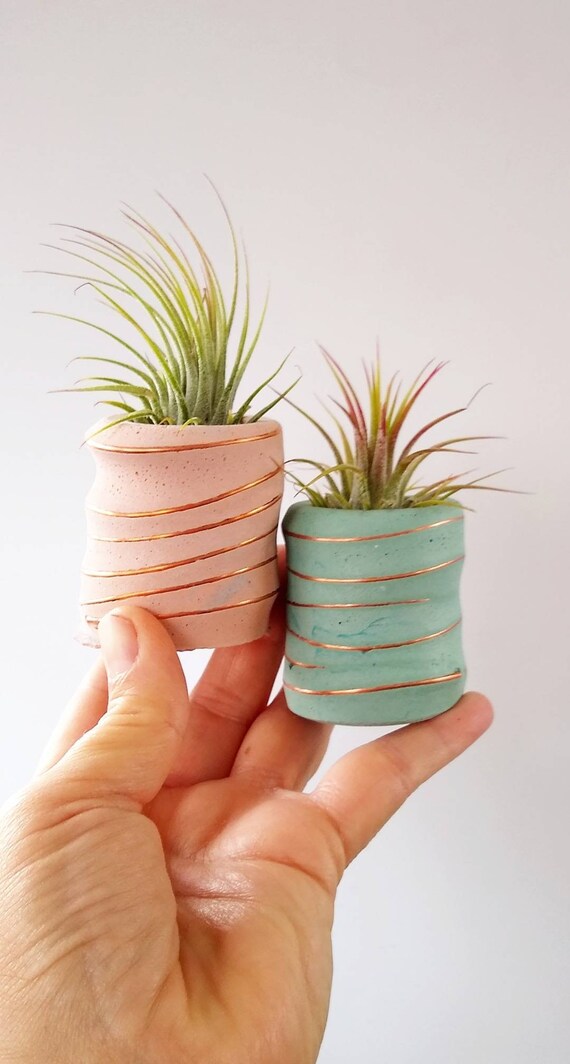 Copper and Concrete Planter/Modern Planter/Mini Air Plant Holder/Office Planter/Succulent Planter/ Indoor Planter/Mint/Dorm decor/Minimalist