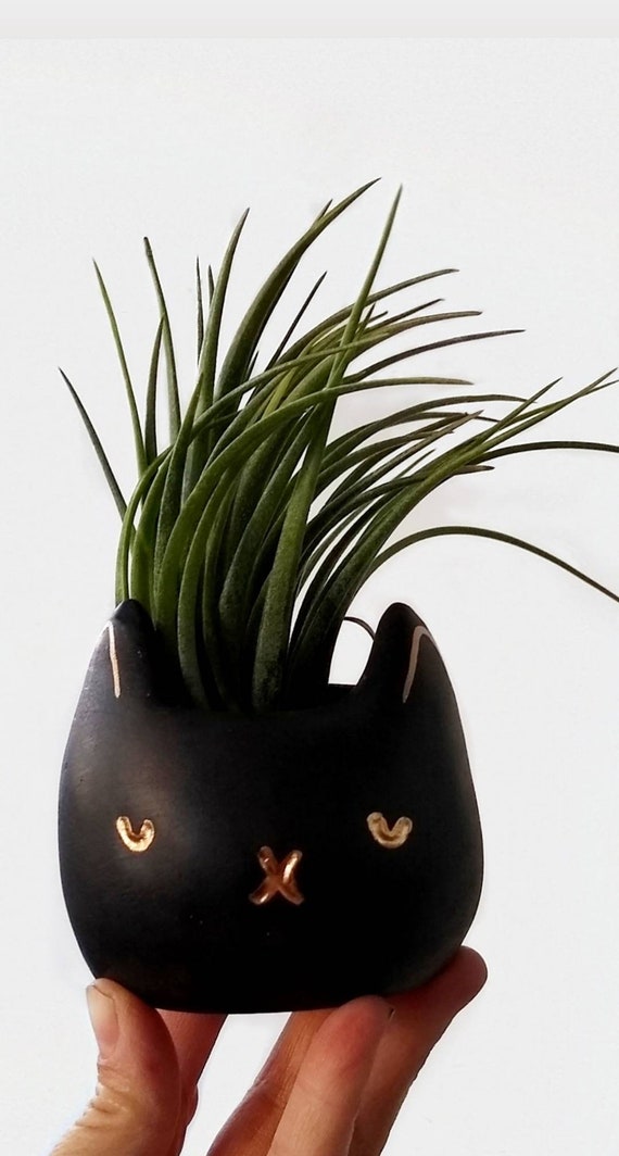 Concrete Cat Planter/Succulent planter/Air Plant Holder/White Planter/HomenDecor/Office Decor/Housewarming Gift/Cat Mom