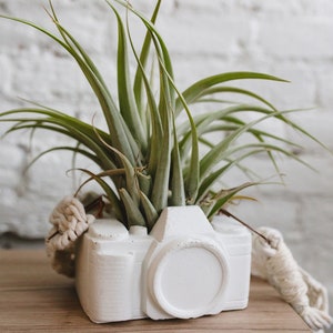 Camera Planter