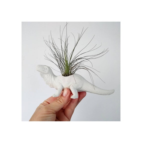 Dinosaur Concrete Air Plant Holder/Air Plant/Dino/Indoor Planter/Dinosaur decor/Fun Planter/Office decor/Dorm Decor/Modern Planter