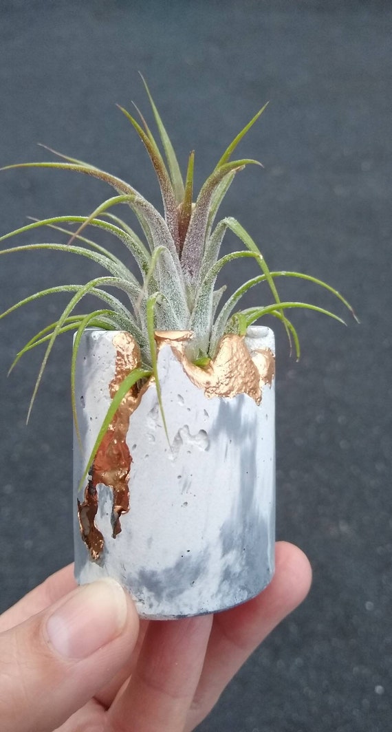 Marble Concrete Gold Leafing Air Plant Holder,Modern Metallic planter,Cactus Planter,Mini Planter,Indoor Planter, Desk planter,Home Decor