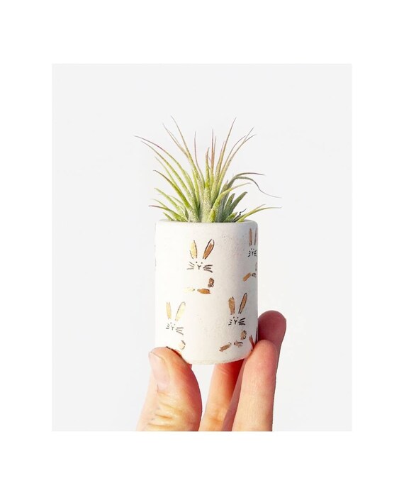 Mini Concrete Bunny Rabbit Planter/Air Plant Holder/Bunny decor/Bunny lover gift/Pet lover gift/Spring decor