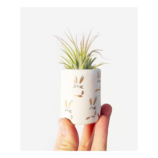 Mini Concrete Bunny Rabbit Planter