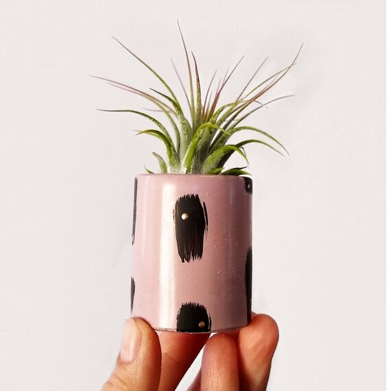 Pink Concrete Planter/Modern Planter/Air Plant Holder/Office Planter/Succulent Planter/ Indoor Planter/Mod Pink/Midcentury Modern/apartment