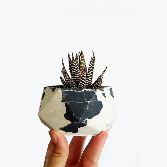 Gray & white Geometric Planter/Air Plant Holder/Desk Planter/home decor/New Home Gift/Housewarming Gift/Succulent Planter/Modern Planter/